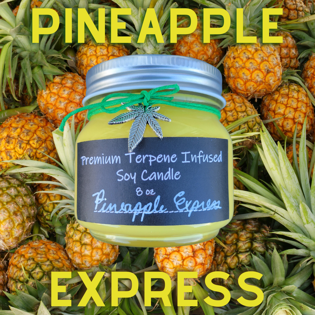 Pineapple Express by Terpy Holistics Premium Terpene Infused Soy Wax C