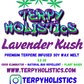 Terpy Holistics Premium Terpene Strain Infused Soy Wax Melts All Natural Made in USA Aromatherapy 2.5oz