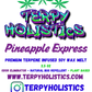 Terpy Holistics Premium Terpene Strain Infused Soy Wax Melts All Natural Made in USA Aromatherapy 2.5oz