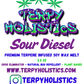 Terpy Holistics Premium Terpene Strain Infused Soy Wax Melts All Natural Made in USA Aromatherapy 2.5oz