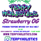 Terpy Holistics Premium Terpene Strain Infused Soy Wax Melts All Natural Made in USA Aromatherapy 2.5oz