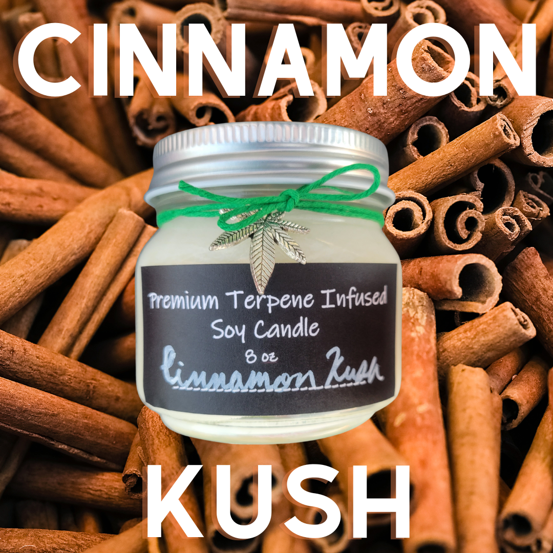 Cinnamon Kush by Terpy Holistics Premium Terpene Infused Soy Wax Candle All Natural Made in USA Aromatherapy 8oz