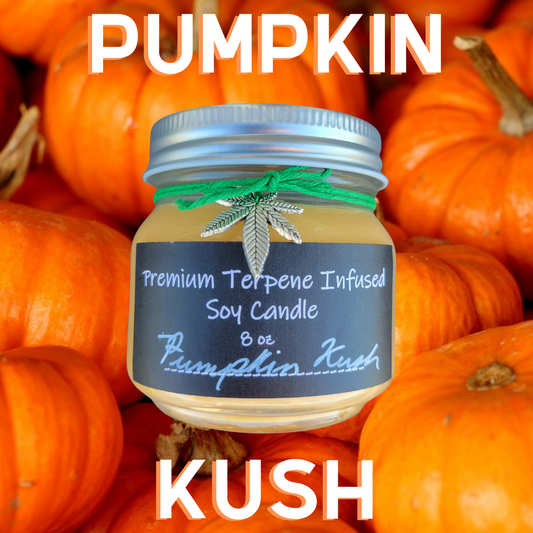 Pumpkin Kush by Terpy Holistics Premium Terpene  Infused Soy Wax Candle All Natural Made in USA Aromatherapy 8oz