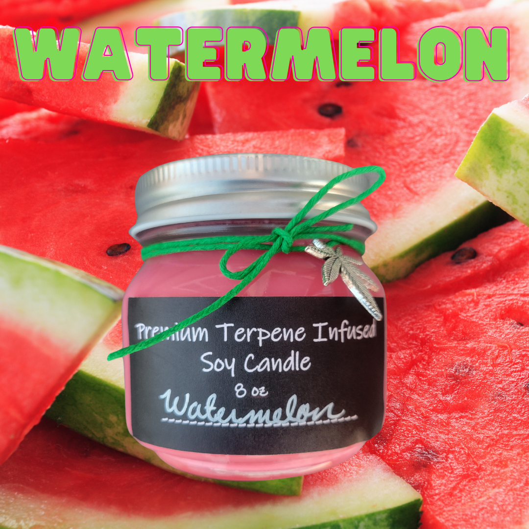 Watermelon by Terpy Holistics Premium Terpene Infused Soy Wax Candle All Natural Made in USA Aromatherapy 8oz