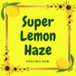 Lemon Verbena by Terpy Holistics Premium Terpene Infused Soy Wax Candle All Natural Made in USA Aromatherapy 8oz