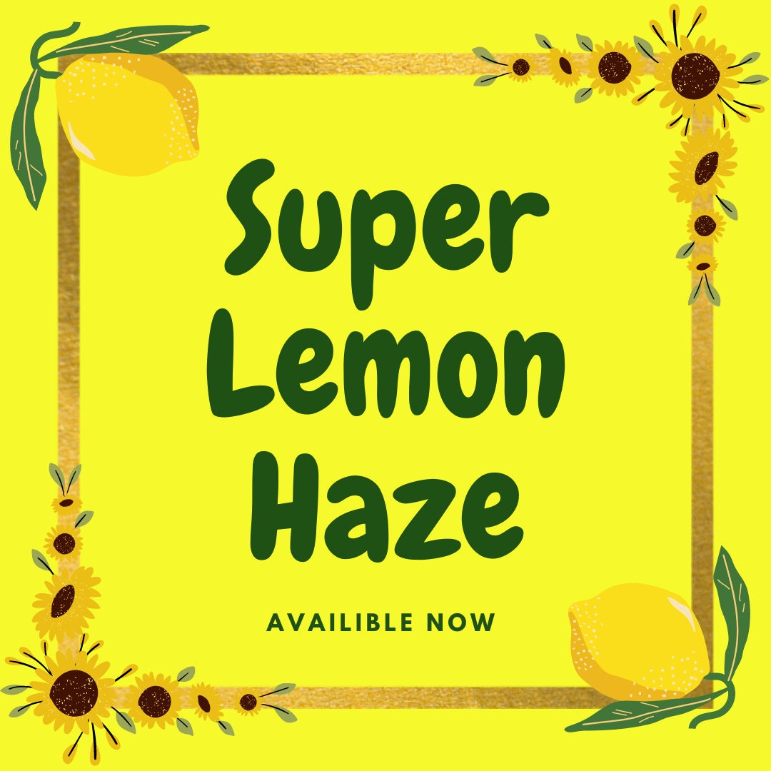 Lemon Verbena by Terpy Holistics Premium Terpene Infused Soy Wax Candle All Natural Made in USA Aromatherapy 8oz